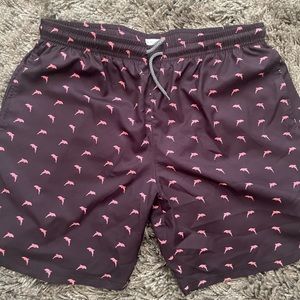 Men’s L Biwisy swim trunks like new